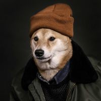 我爱搜狗